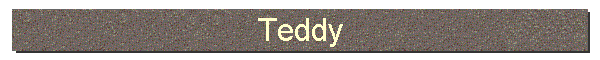 Teddy