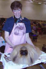 tedmeontable2.JPG (12354 bytes)